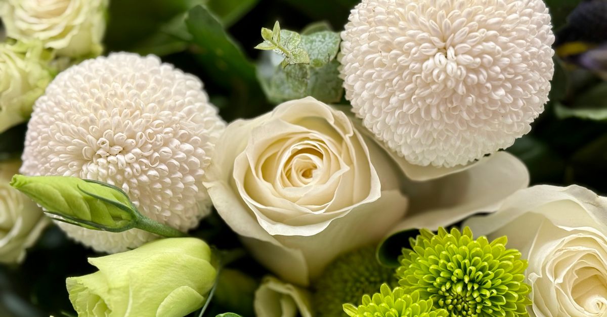 Considerate Flower Choices for Illness Recovery
