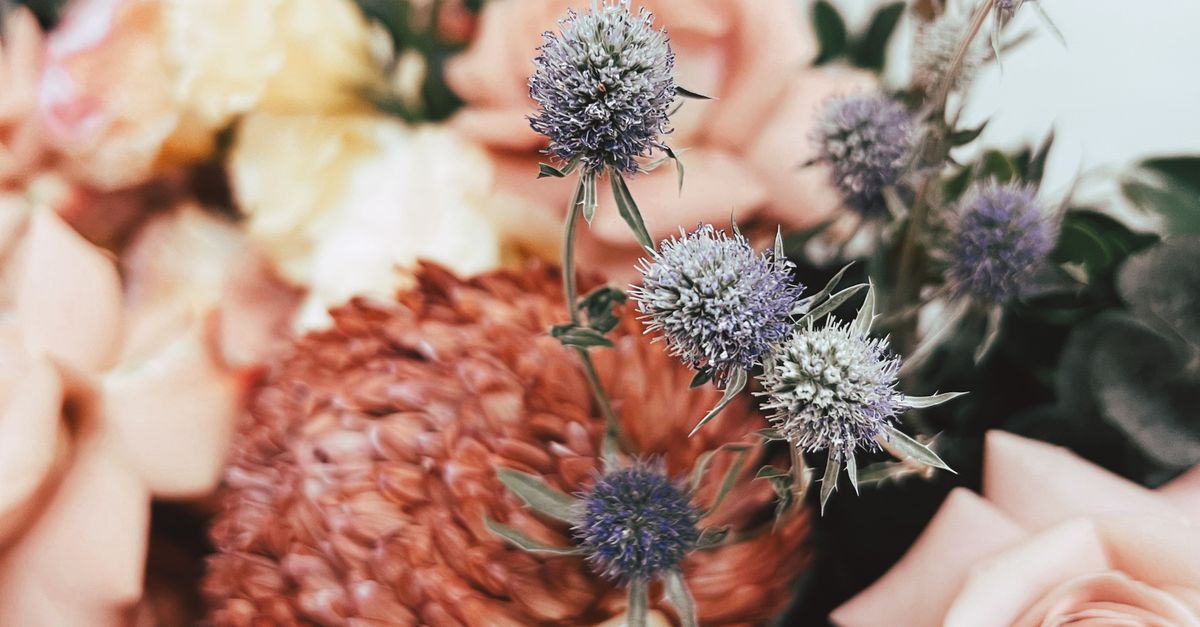 Exclusive Deals for First-Time Customers of Same Day Flower Delivery