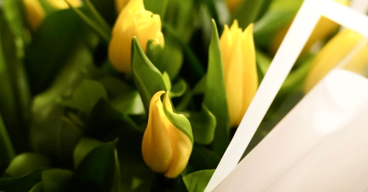 The Role of Colour Palettes in Wedding Flower Choices