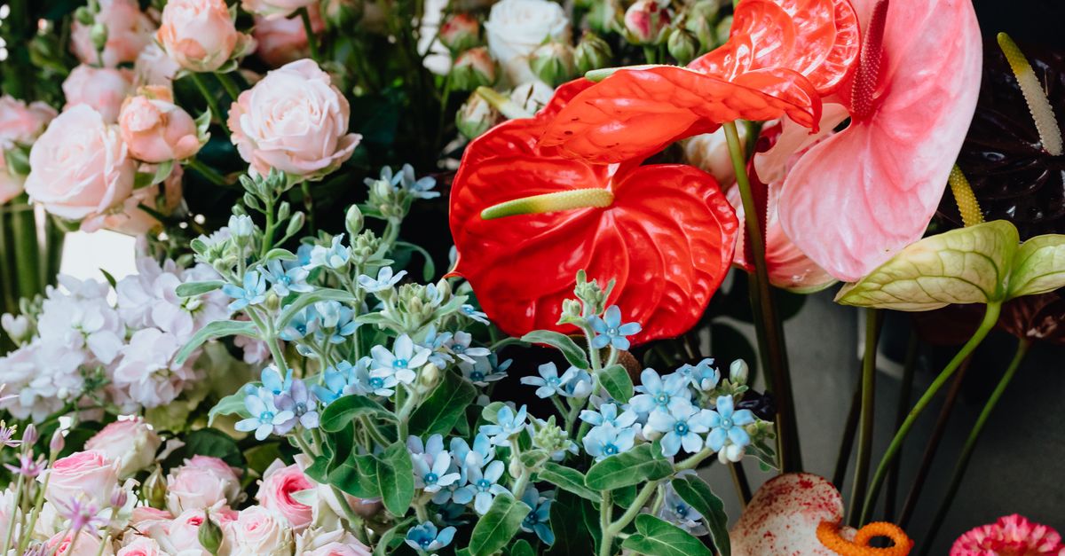 Why Seasonal Flowers Enhance Your Home Decor